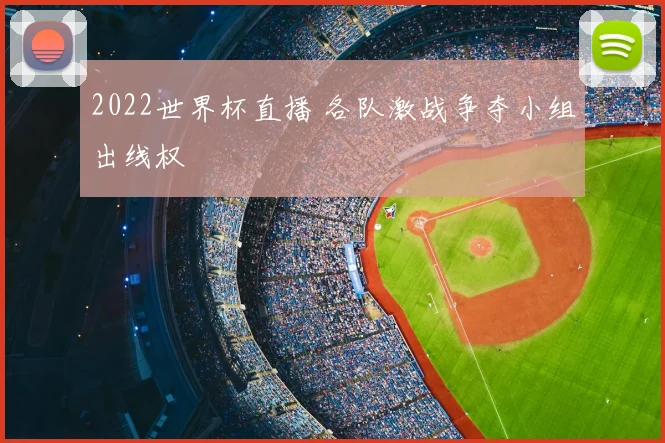 2022世界杯直播 各队激战争夺小组出线权
