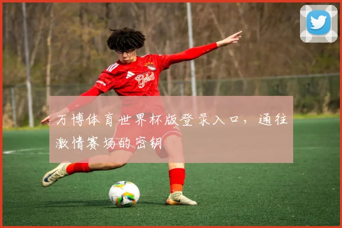 万博体育世界杯版登录入口，通往激情赛场的密钥