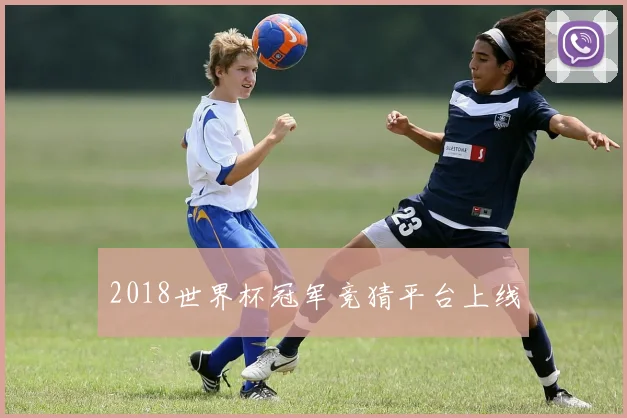 2018世界杯冠军竞猜平台上线