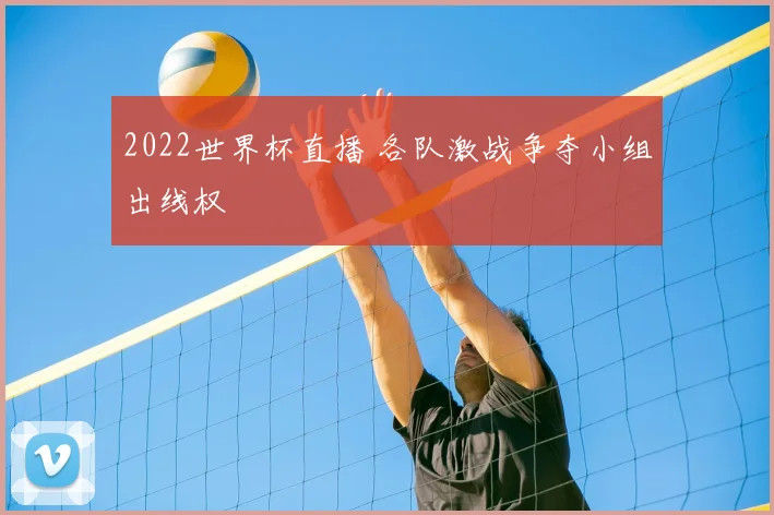 2022世界杯直播 各队激战争夺小组出线权